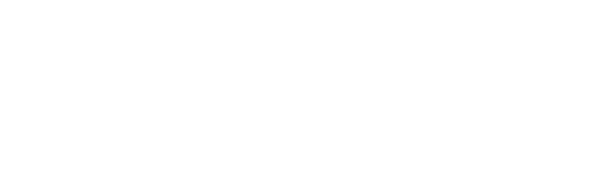 D/Generation